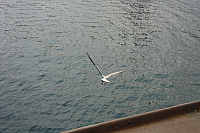 22.08.2013 12:47:02
Rostock Warnemünde
Ostsee 2013
Ostsee-Fotos