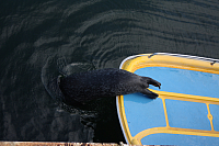 22.08.2013 14:44:05
Rostock Warnemünde
Ostsee 2013
Ostsee-Fotos