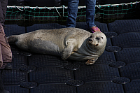 22.08.2013 15:02:22
Rostock Warnemünde
Ostsee 2013
Ostsee-Fotos