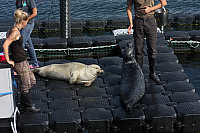 22.08.2013 15:02:33
Rostock Warnemünde
Ostsee 2013
Ostsee-Fotos