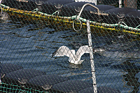 22.08.2013 15:13:48
Rostock Warnemünde
Ostsee 2013
Ostsee-Fotos