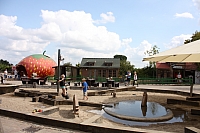 23.08.2013 12:54:27
Karls Erdbeerhof
Ostsee 2013
Ostsee-Fotos