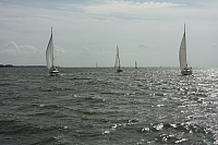 10.08.2014 11:17:48
August 2014
Ostsee-Fotos