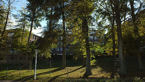 &copy; R.Thiel
10.10.2020 13:30:41
Stralsund 2020
Ostsee-Fotos